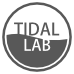 TIDAL Lab