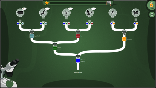 Nova Training Trees